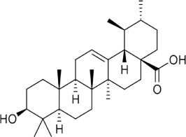 Возможная роль урсоловой кислоты при Covid-19