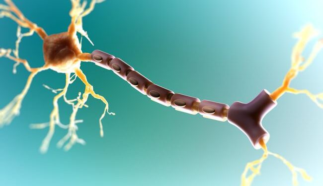 Четыре новых аутоантигена вызывают рассеянный склероз 1 Четыре новых аутоантигена вызывают рассеянный склероз